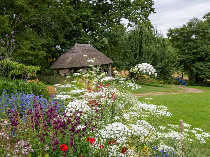 Discover East Devon's Secret Garden