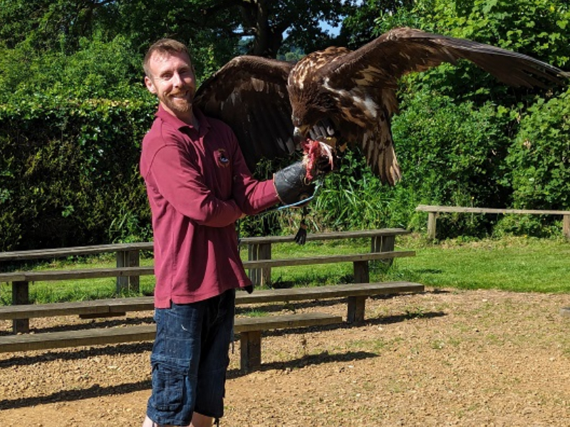 See Majestic Birds of Prey Fly Right Over Your Head