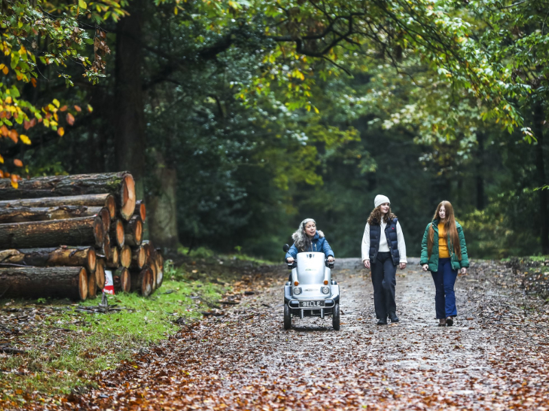 Explore, Relax and Play in Wyre Forest