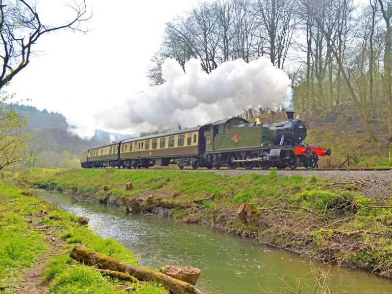 Heritage Train Rides in the Forest of Dean