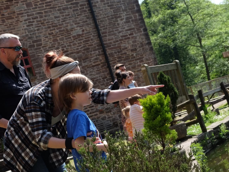 Family Fun in the Heart of the Forest of Dean