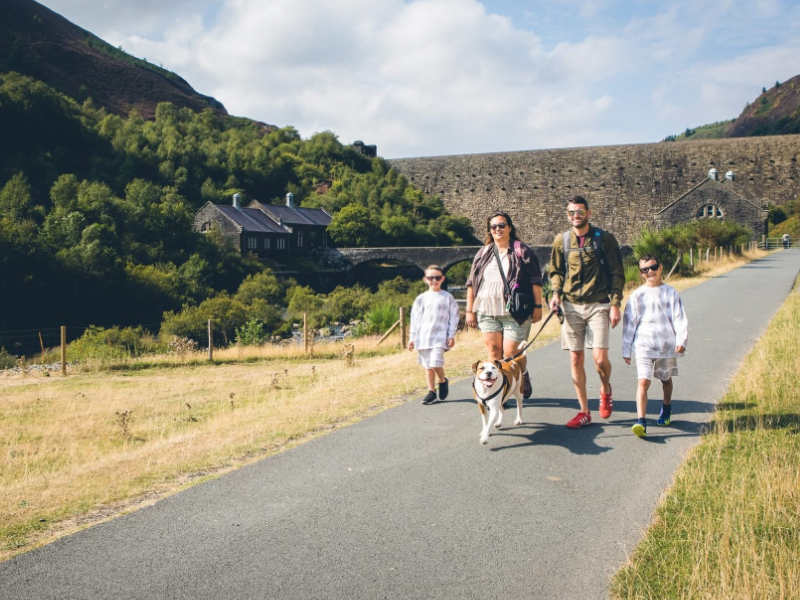 Discover Peace and Nature in Mid Wales