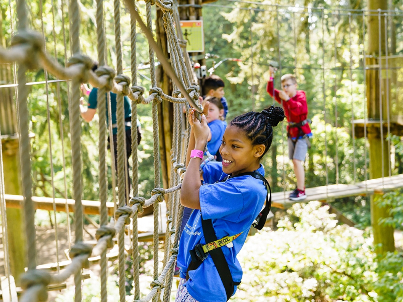 Plan Your Hampshire Days Out 