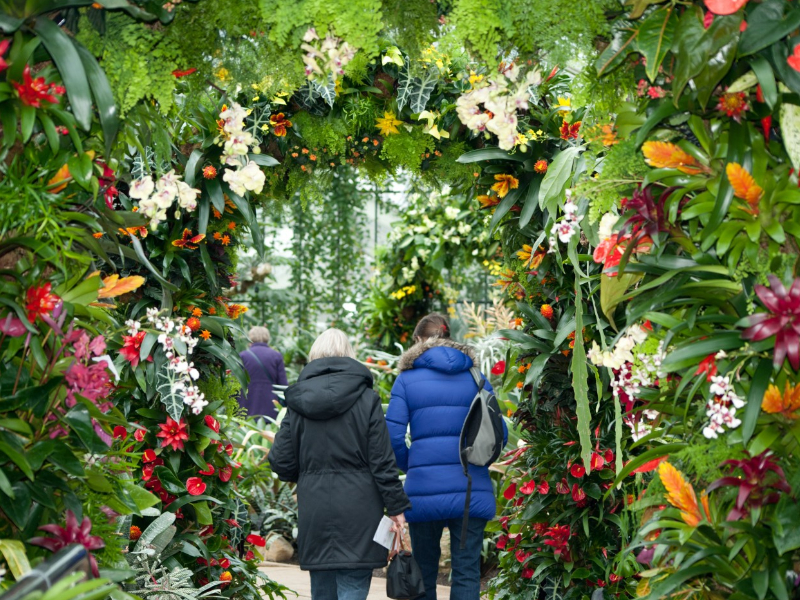 Take a Trip by Coach this Year