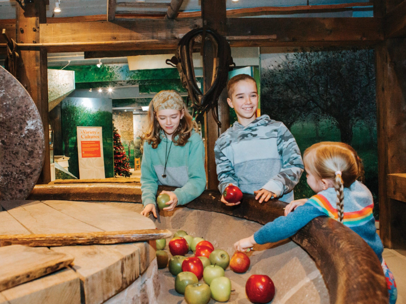 Explore the World of Cider in Herefordshire