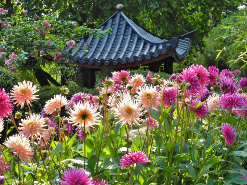 A Blooming Good Day Out in Wiltshire