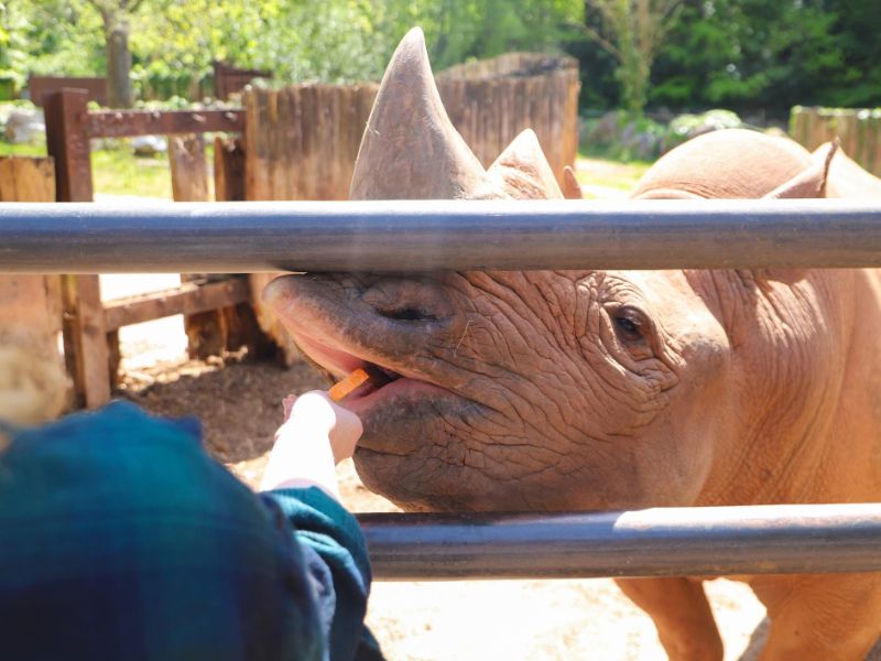 The Ultimate Full-Day Family Adventure 