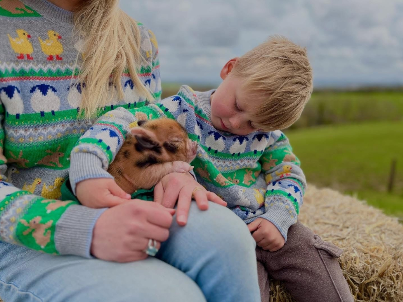 Hands-On Family Fun at Pennywell Farm