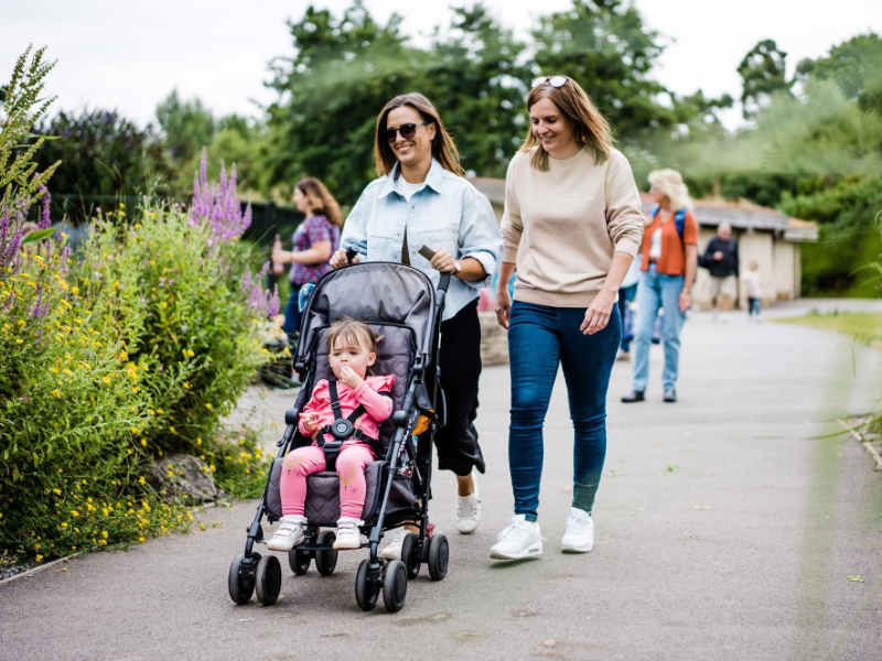 Immerse Yourself in Wetland Wildlife this Summer