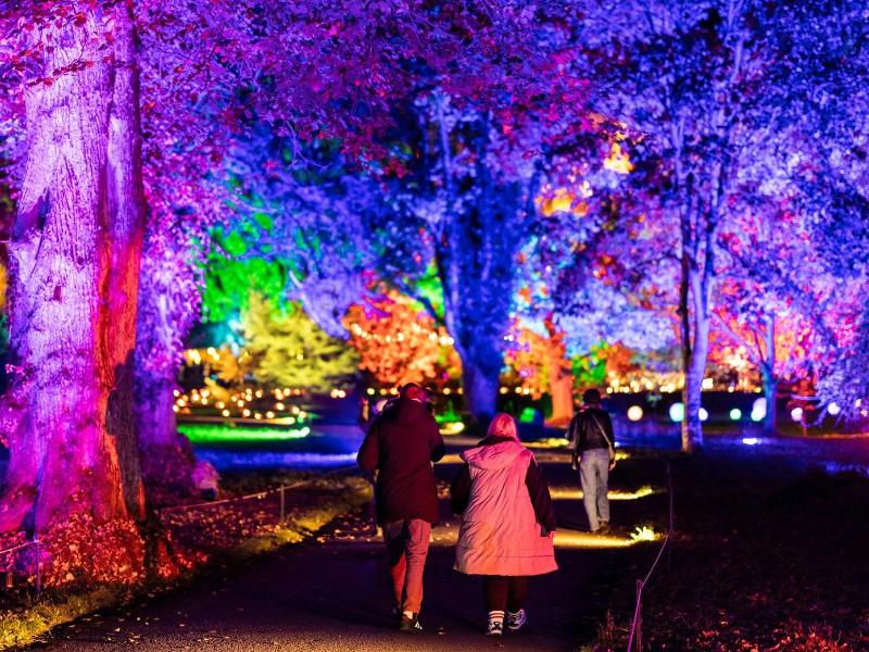 Book a Magical Winter Adventure in Berkshire, 16 Oct – 7 Nov