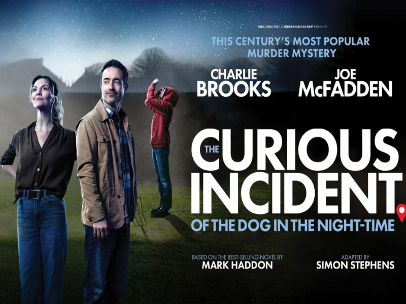 Experience The Curious Incident of the Dog in the Night-Time at Everyman Theatre Cheltenham