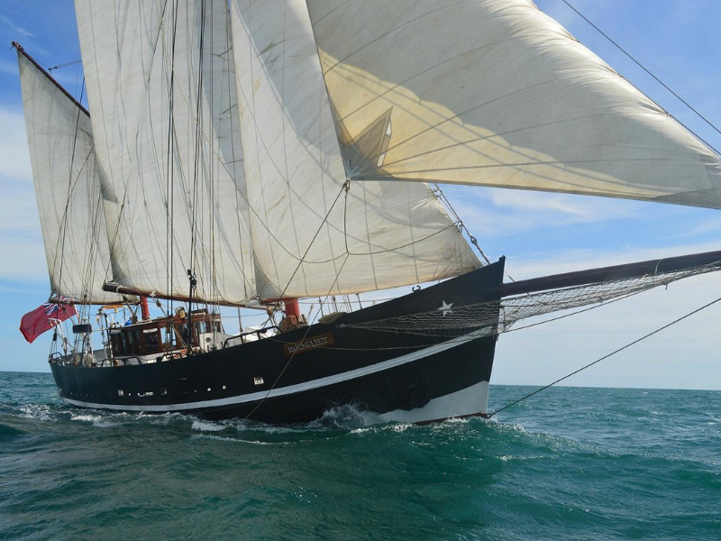 Visitor+ Enjoy a Tall Ship Sailing Experience in Dorset