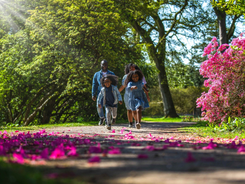 Explore Westonbirt Arboretum this Spring