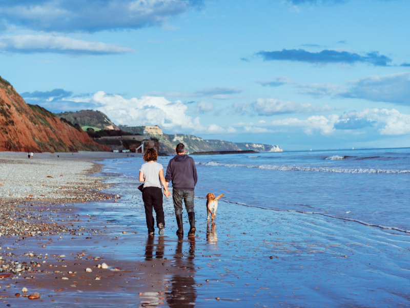 Plan Your Seaside Escape on the Jurassic Coast
