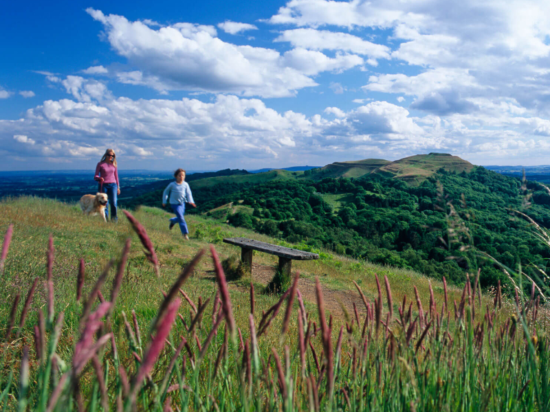 Plan Your Visit to The Malverns