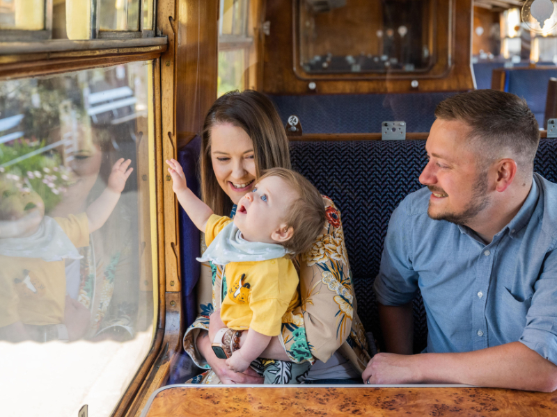 Scenic Steam Journeys and Memorable Experiences in Somerset