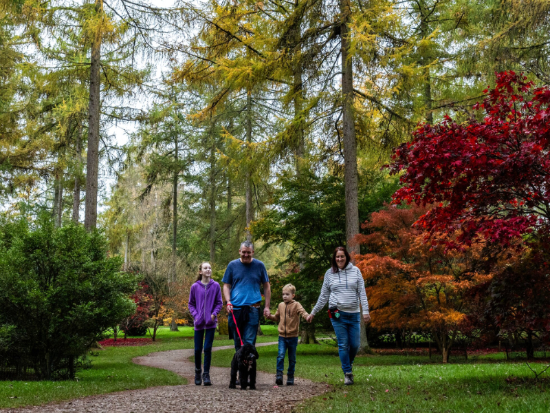 Discover the Magic of Autumn in Gloucestershire