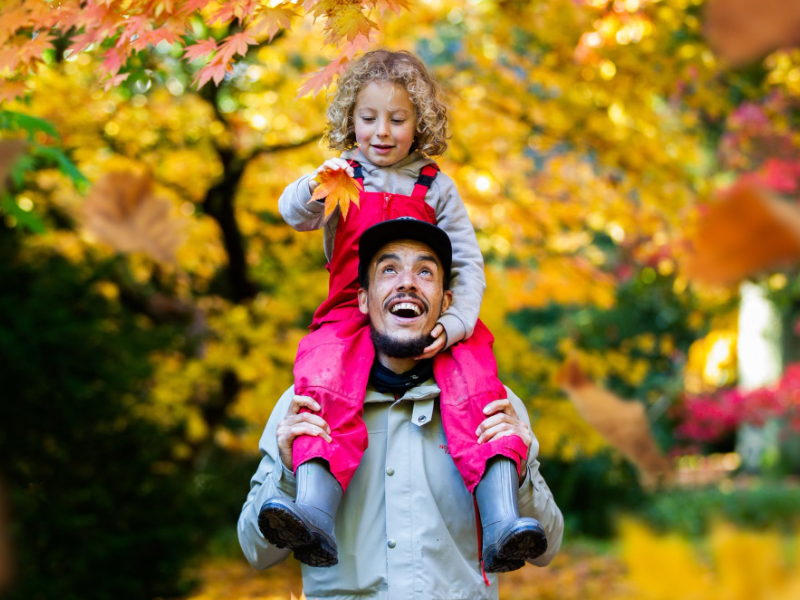 Walk, Explore and Unwind at Westonbirt Arboretum in Gloucestershire