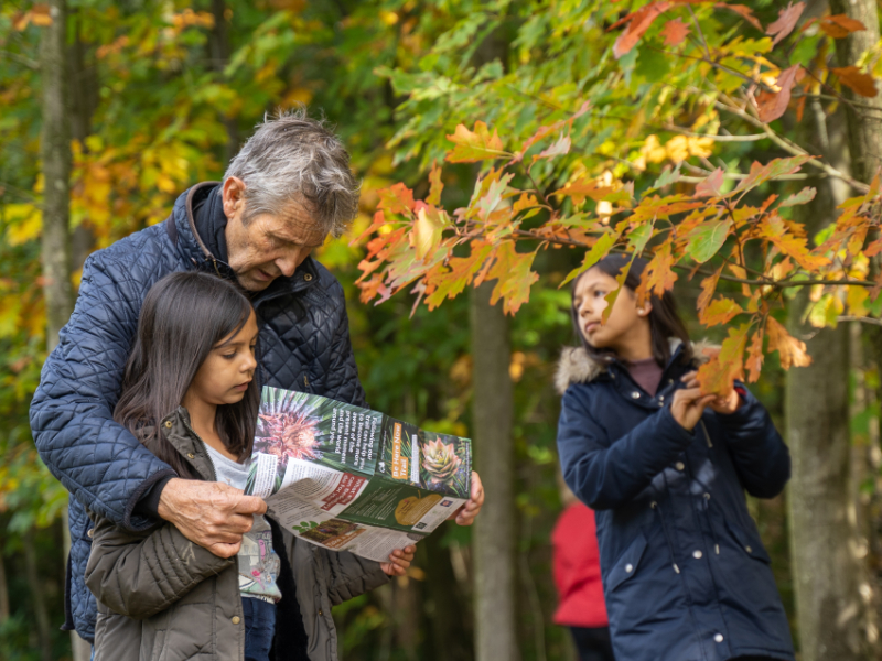 Family Days Out at Westonbirt Arboretum, Gloucestershire