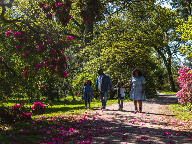 Adventure Awaits at Westonbirt Arboretum