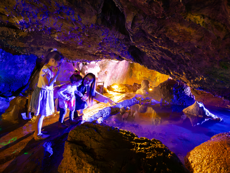 A Day of Adventure for All Ages at Wookey Hole