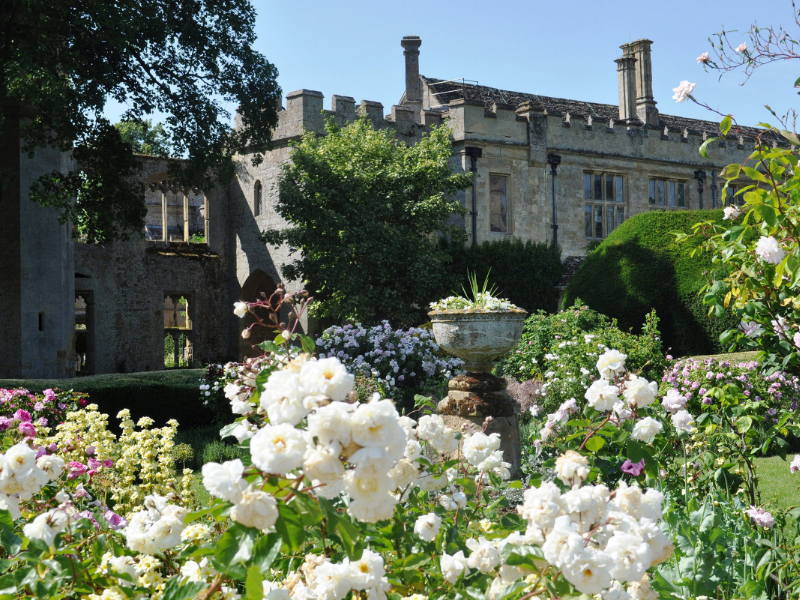 A Royal Day Out For All the Family 